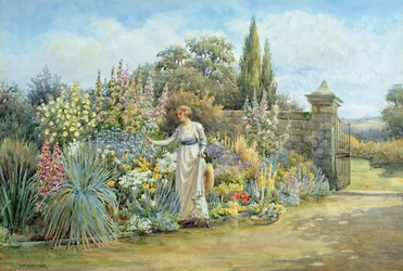 In the Garden
